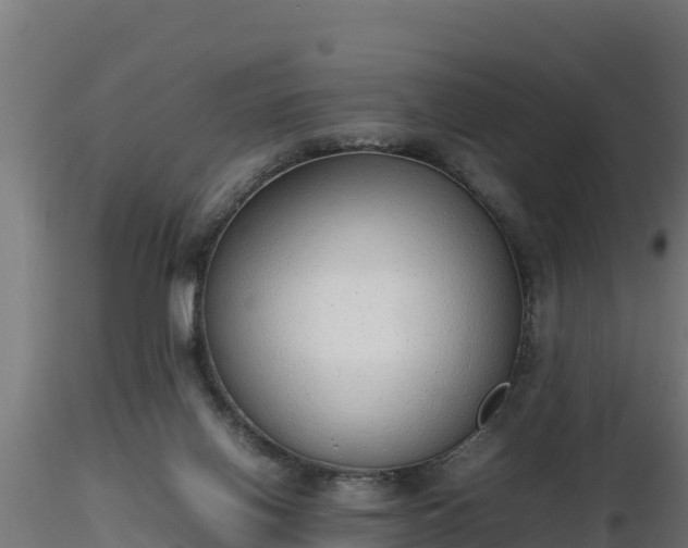 X0000116880070200912291251