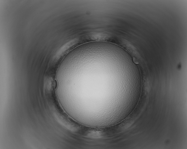 X0000116880071200912291251