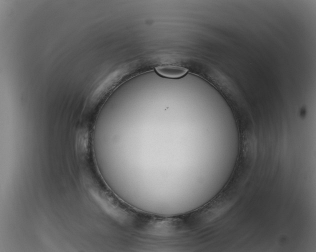 X0000116880072200912291251