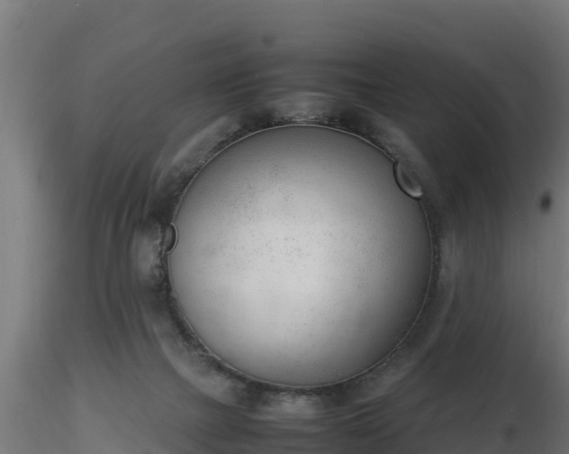 X0000116880073200912291251
