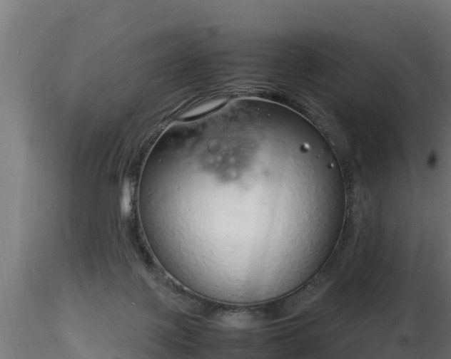 X0000116880075200912291251