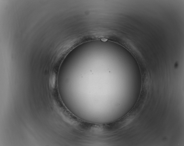 X0000116880076200912291251