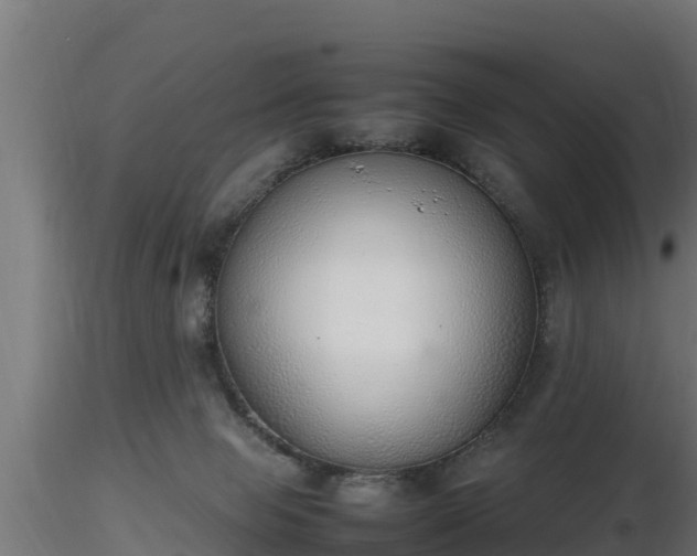 X0000116880077200912291251