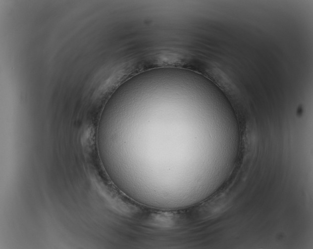 X0000116880079200912291251