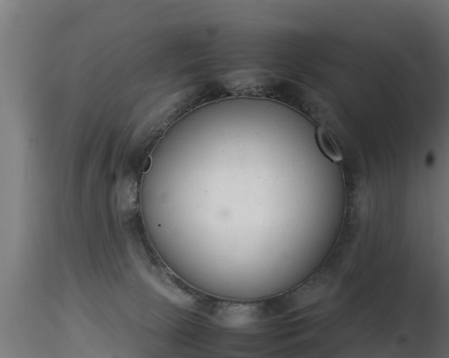 X0000116880081200912291251