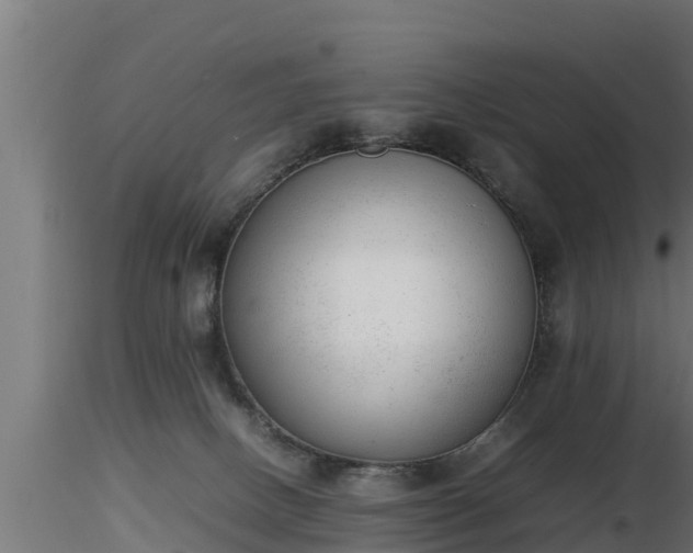 X0000116880082200912291251