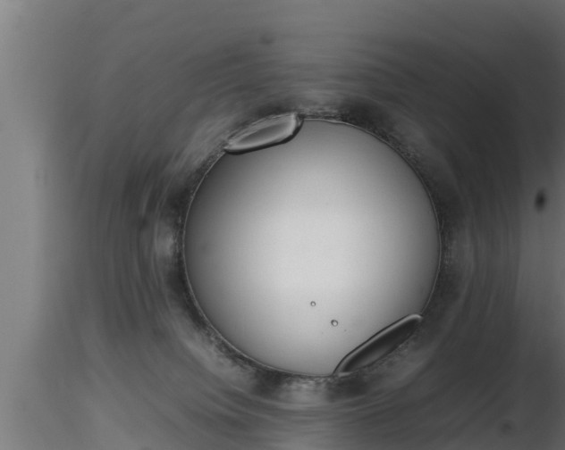 X0000116880084200912291251