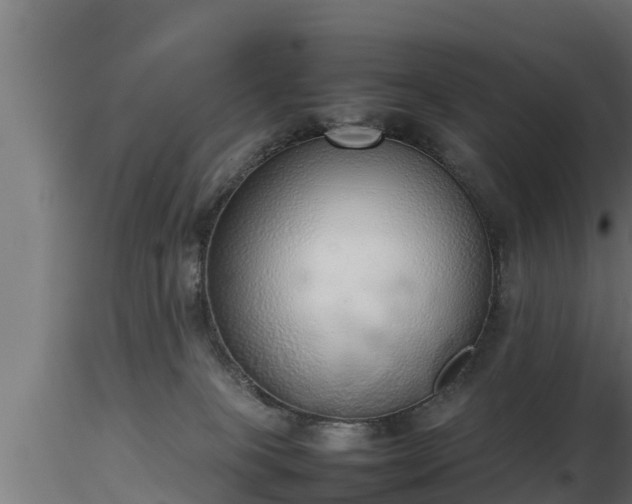X0000116880085200912291251