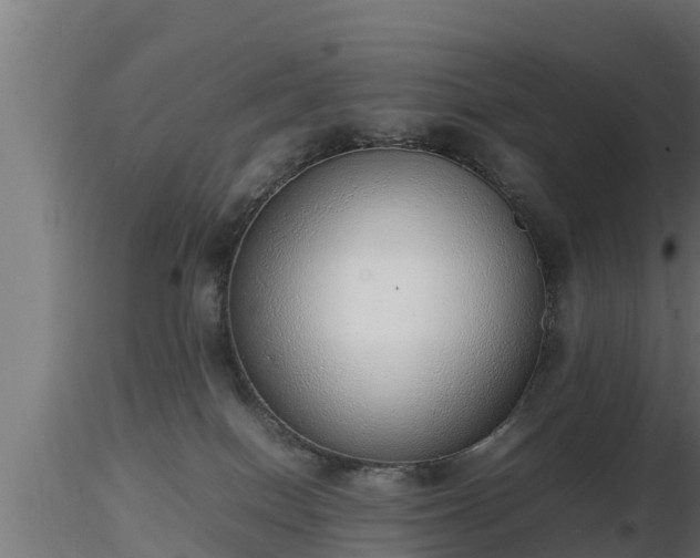X0000116880086200912291251
