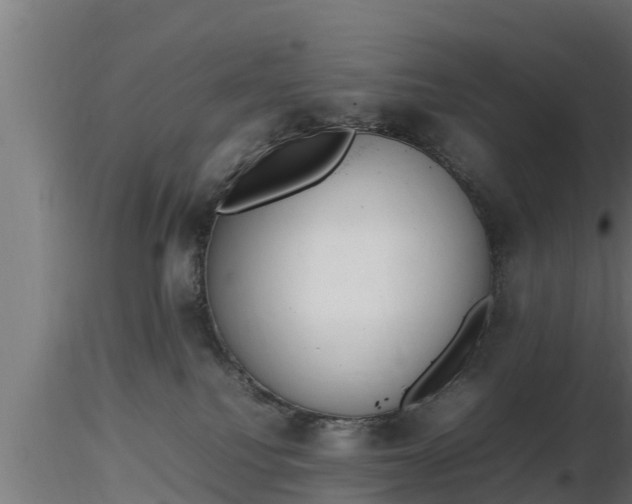 X0000116880088200912291251