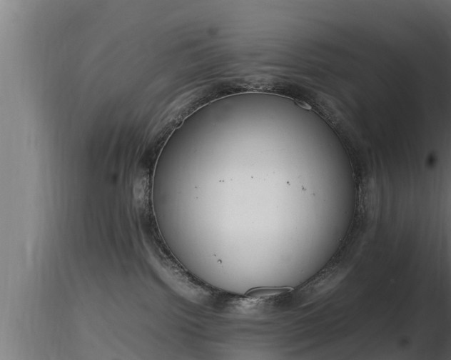 X0000116880092200912291251