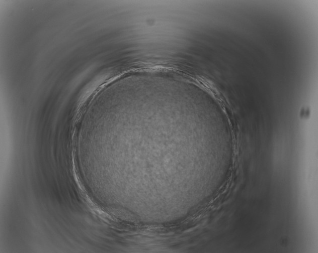 X0000116880097200912291250