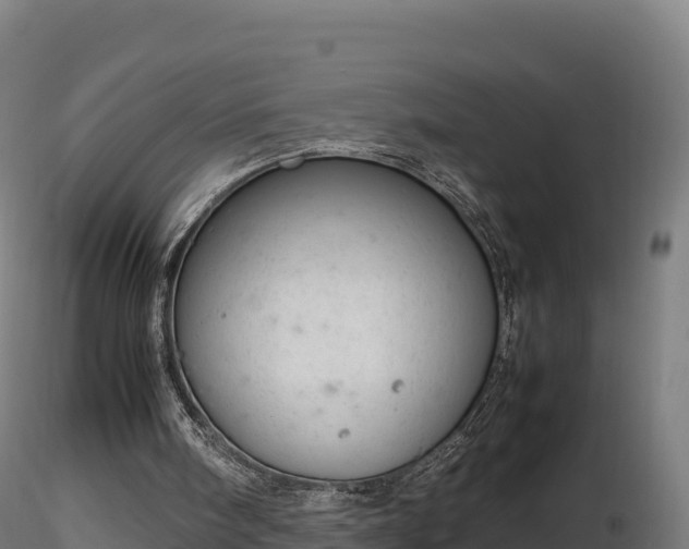 X0000116880098200912291250