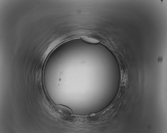 X0000116880099200912291250