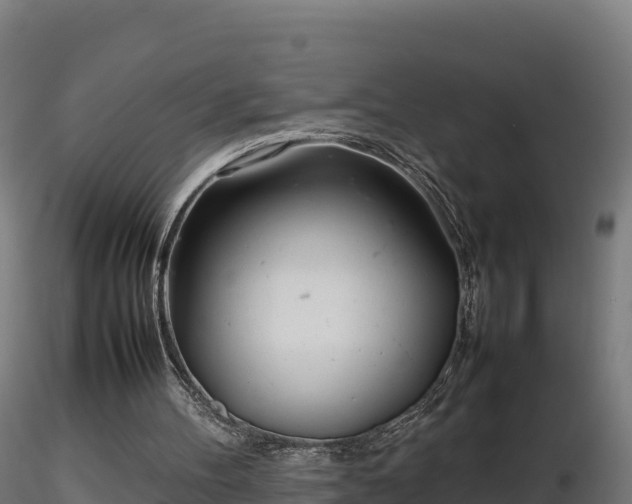 X0000116880100200912291250