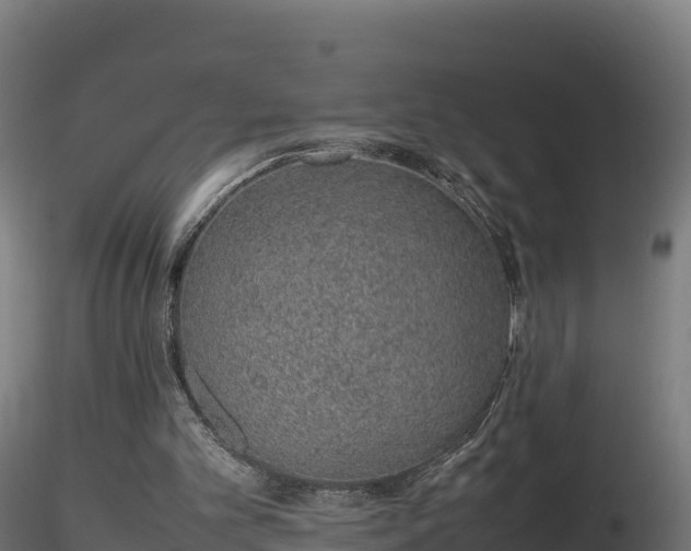 X0000116880101200912291250