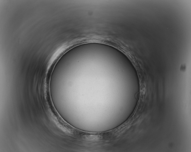 X0000116880102200912291250