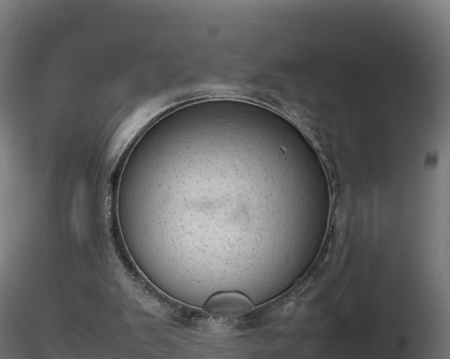 X0000116880103200912291250