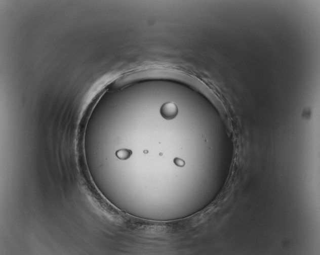 X0000116880104200912291250