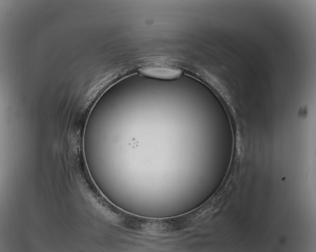 X0000116880105200912291250