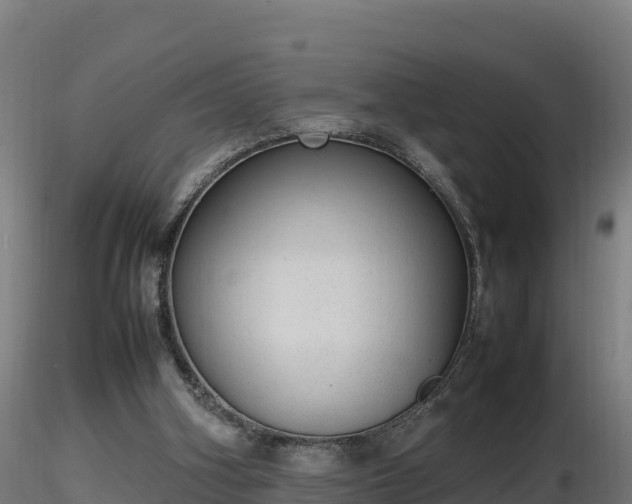 X0000116880106200912291250