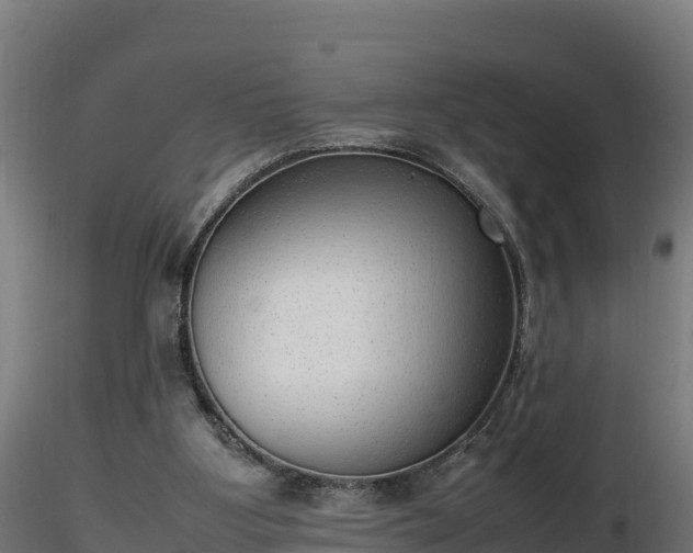 X0000116880107200912291250