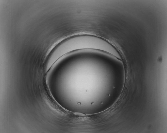 X0000116880108200912291250