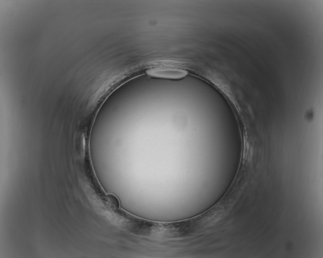 X0000116880109200912291250