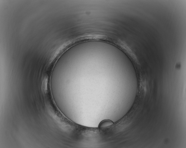 X0000116880110200912291250