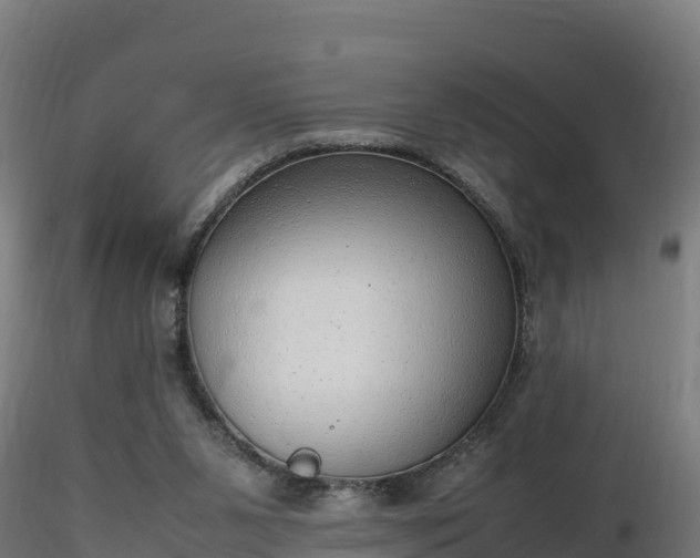 X0000116880111200912291250