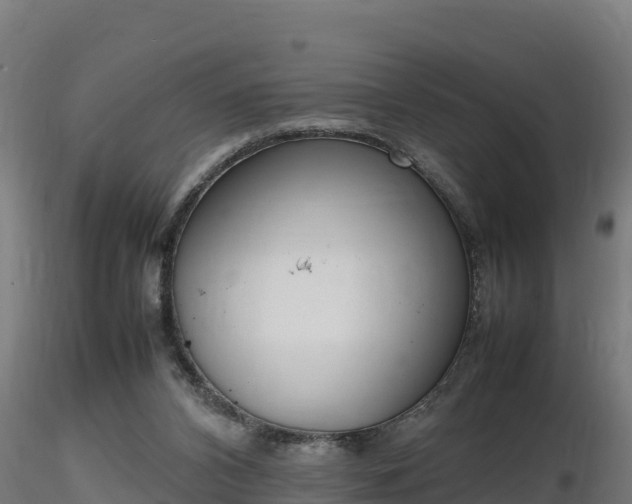X0000116880112200912291250