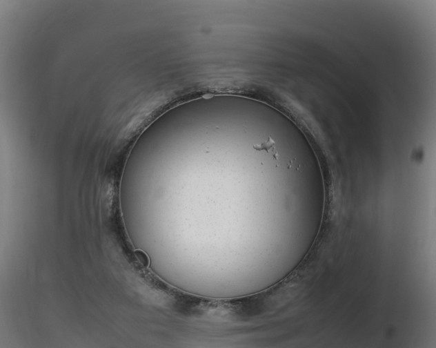 X0000116880113200912291250