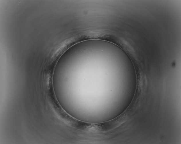 X0000116880115200912291250