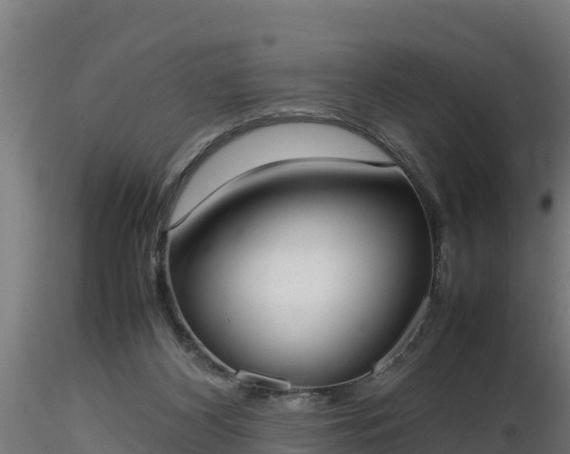 X0000116880116200912291250