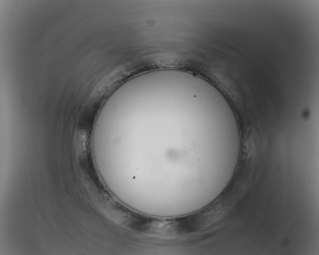 X0000116880117200912291250