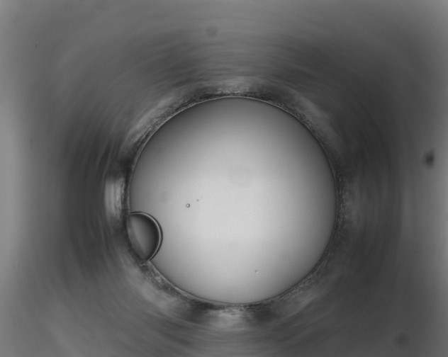 X0000116880118200912291250