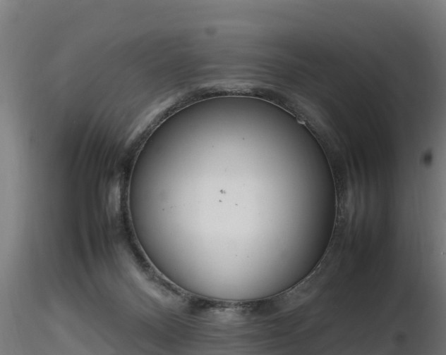 X0000116880120200912291250