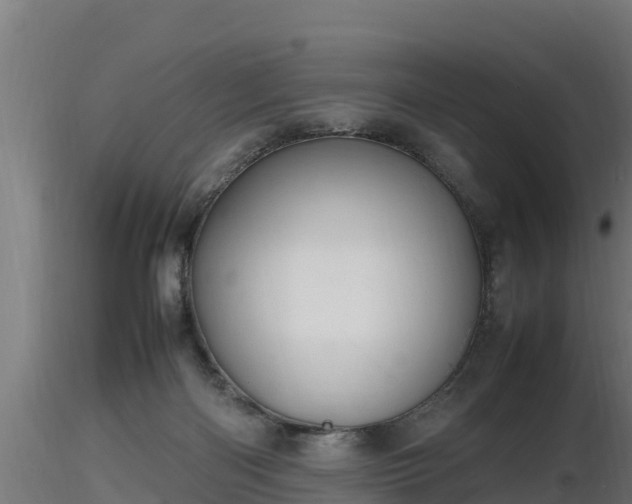 X0000116880122200912291250
