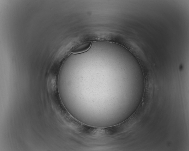 X0000116880123200912291250