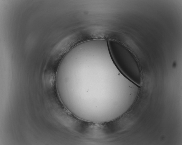 X0000116880125200912291250