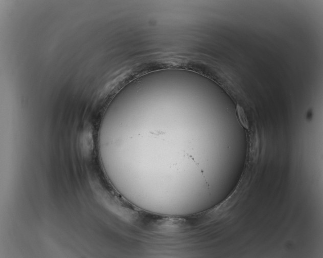 X0000116880128200912291250