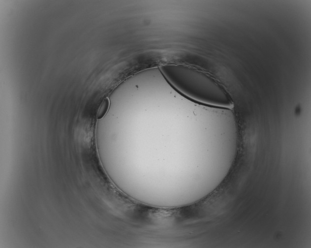 X0000116880129200912291250