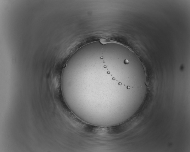 X0000116880131200912291250