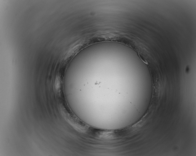 X0000116880132200912291250