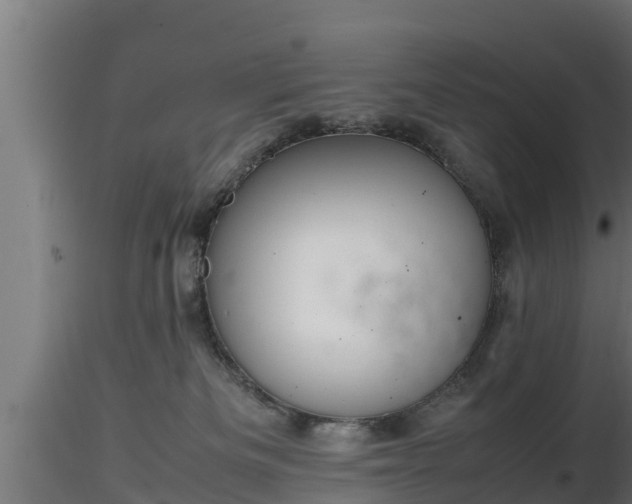 X0000116880133200912291250