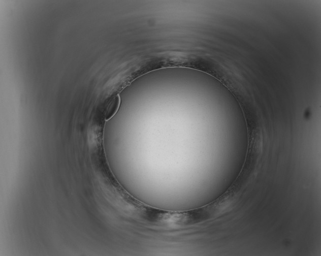 X0000116880135200912291250