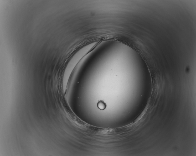 X0000116880136200912291250