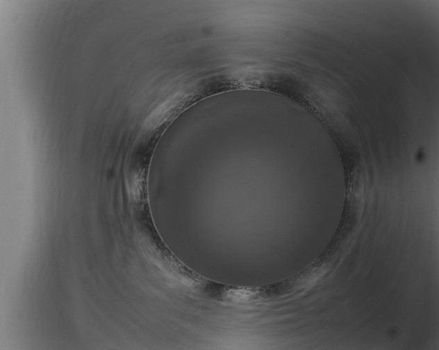 X0000116880139200912291250
