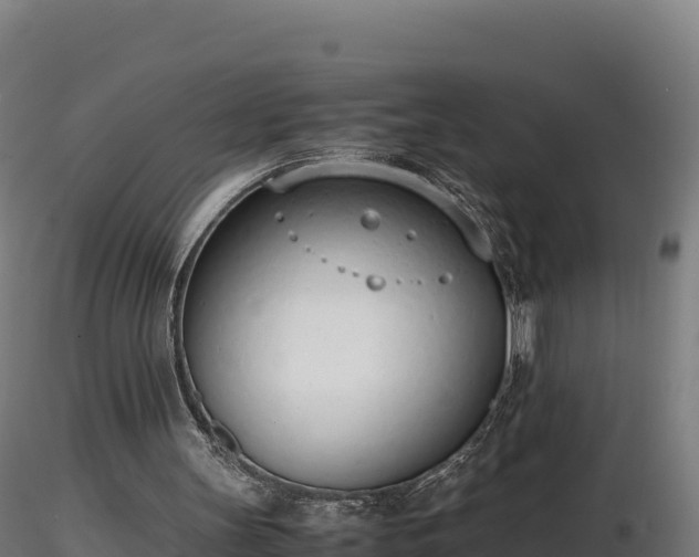 X0000116880147200912291249
