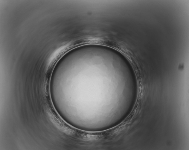 X0000116880149200912291249